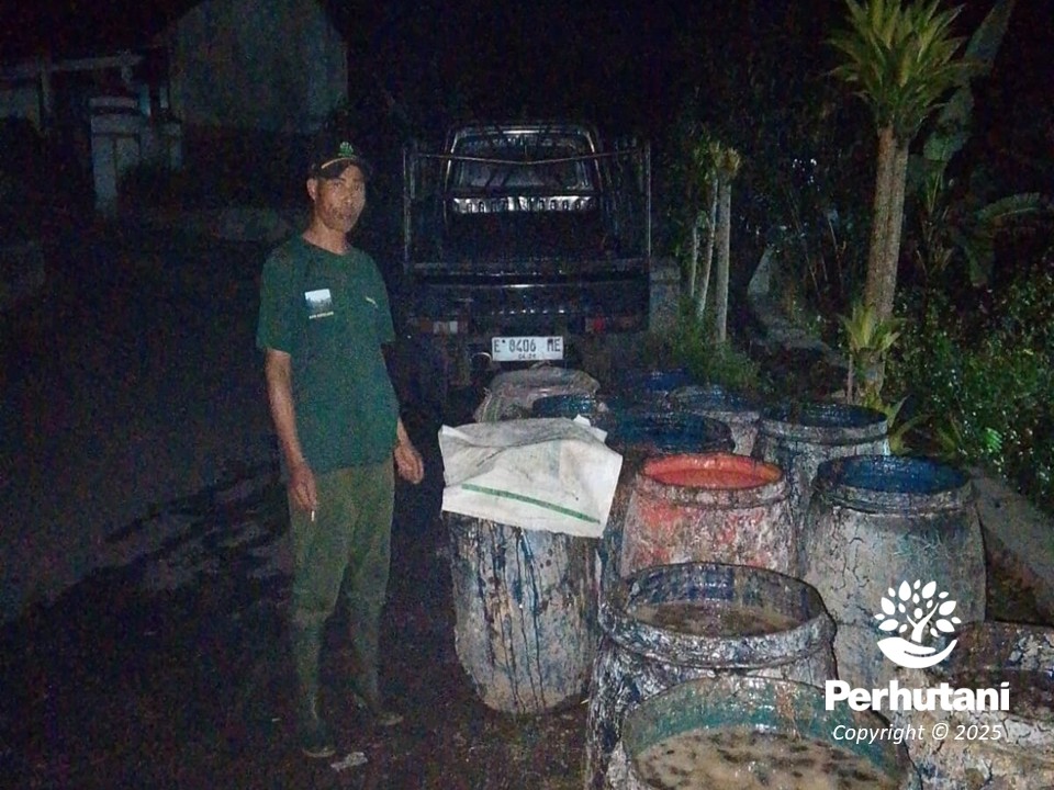 Photo: perhutani.co.id Perhutani East Pekalongan Boosts Pine Resin Production